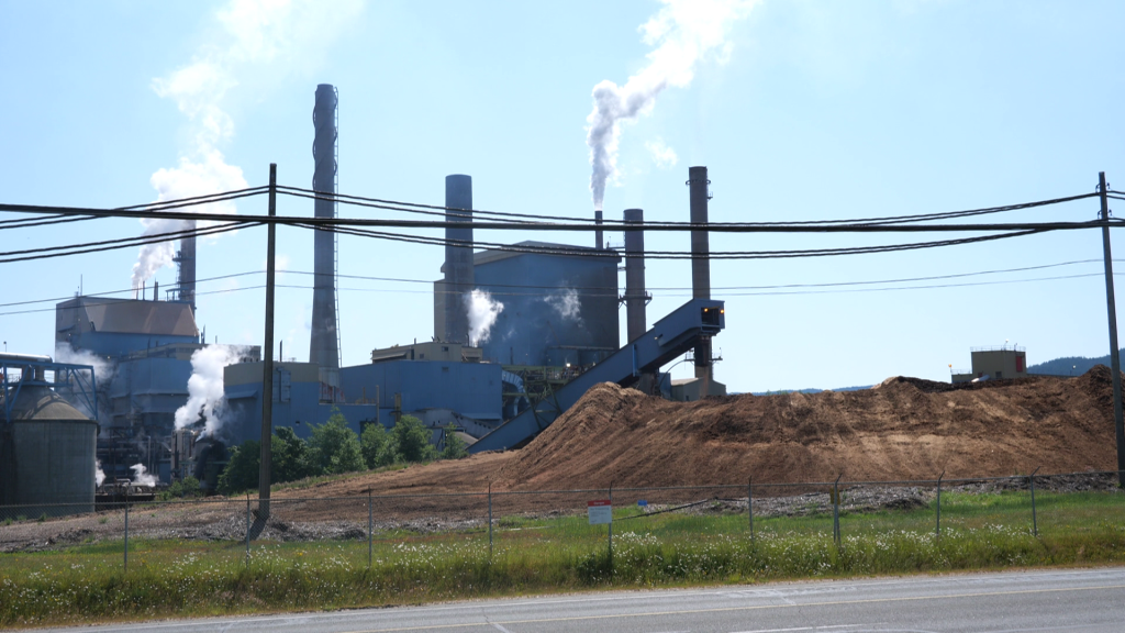 The Catalyst Pulp and Paper Mill in Crofton, B.C. on Thursday June 5, 2025.